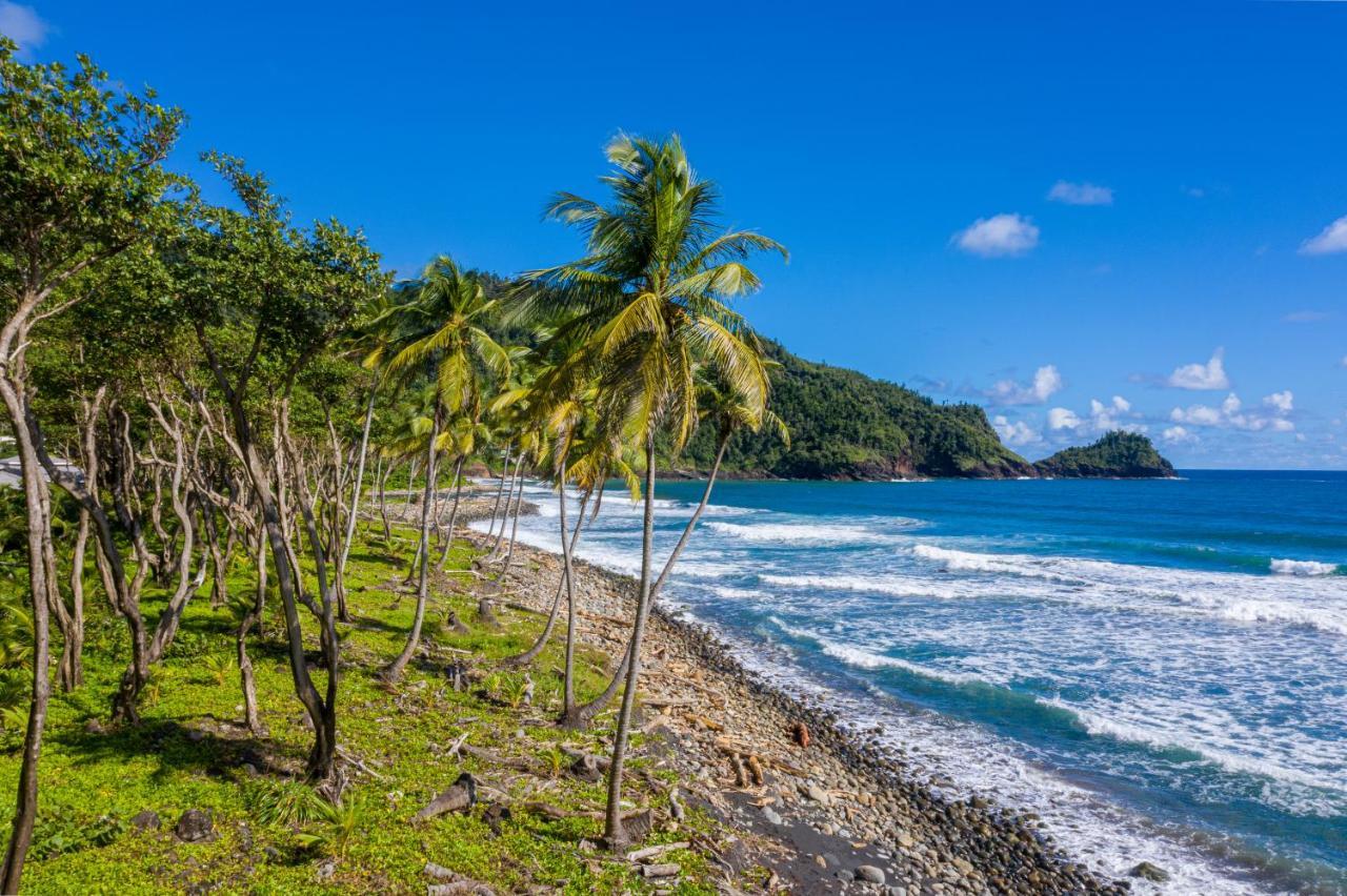 Rosalie Bay Eco Resort & Spa Exterior photo